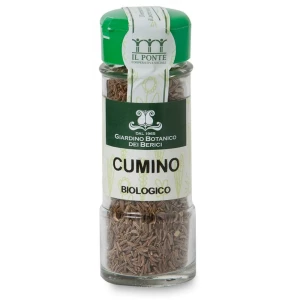 Cumino in semi