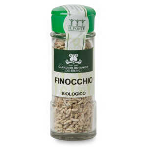 Finocchio in semi