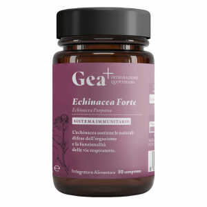 Echinacea forte